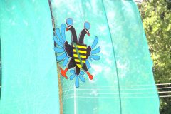 IMG_9675