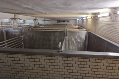 PXL_20230429_104323946